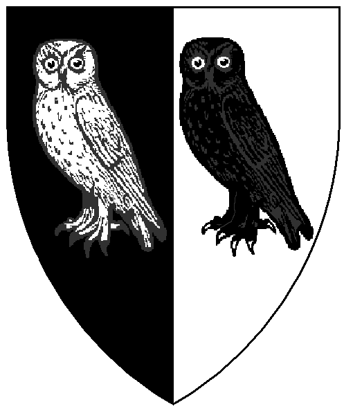 The arms of Aoife ní Fhaoileáin