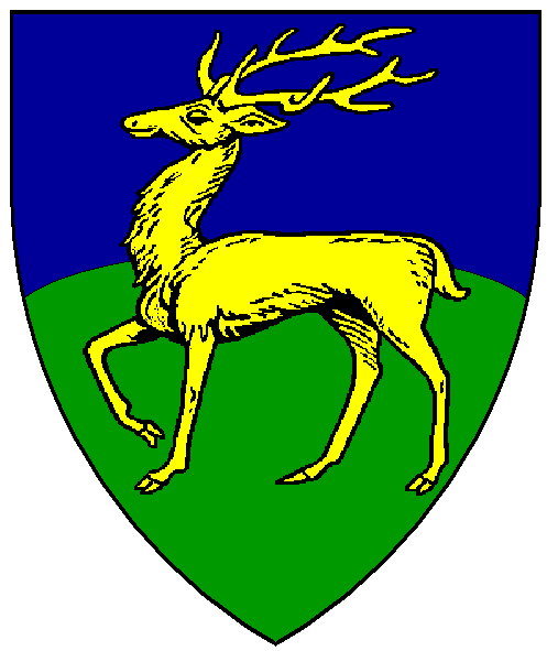 The arms of Declan de Burgo
