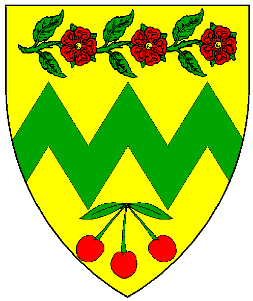 The arms of Donald Anderson