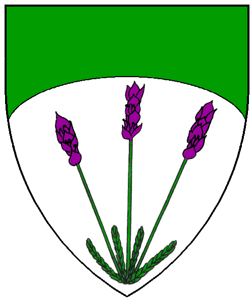 The arms of Helewis of Richemond