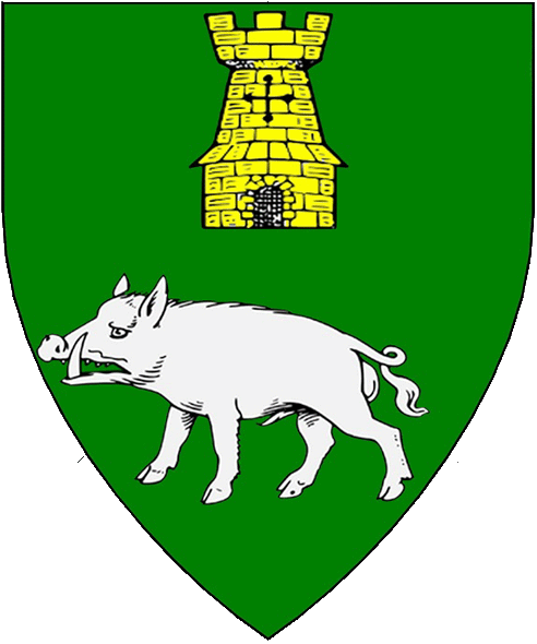The arms of Gareth Robertson